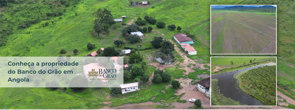 Banner Banco do Grão