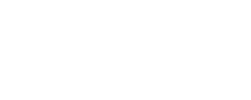 Alternate Text