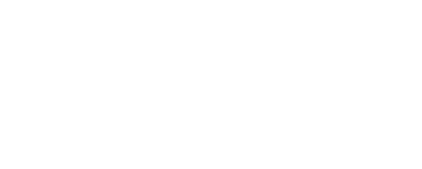 Alternate Text