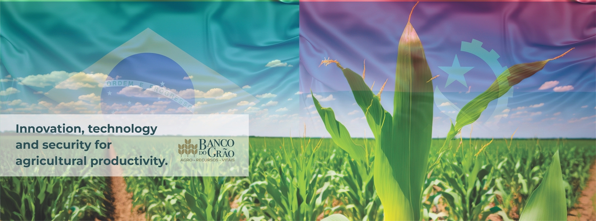 Banner Banco do Grão