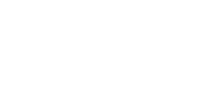 Alternate Text